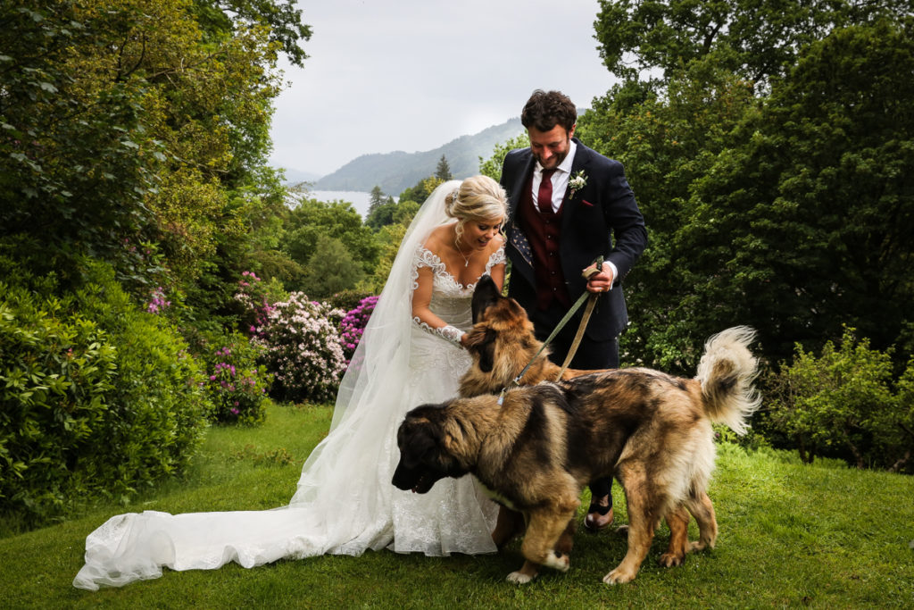 lake district documentary wedding photographer bride and groom with dogs and a mountain view