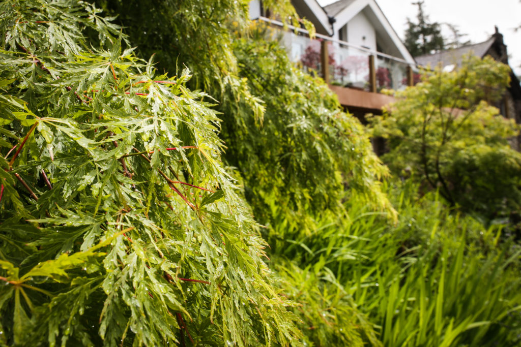 Elopement wedding Gilpin Lake House